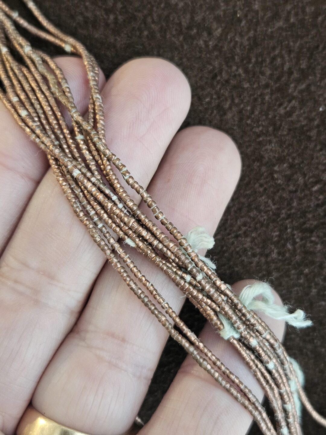 20251101_145246 (Grande)