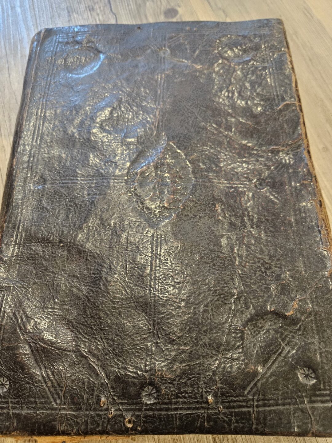 20251031_095123 (Grande)