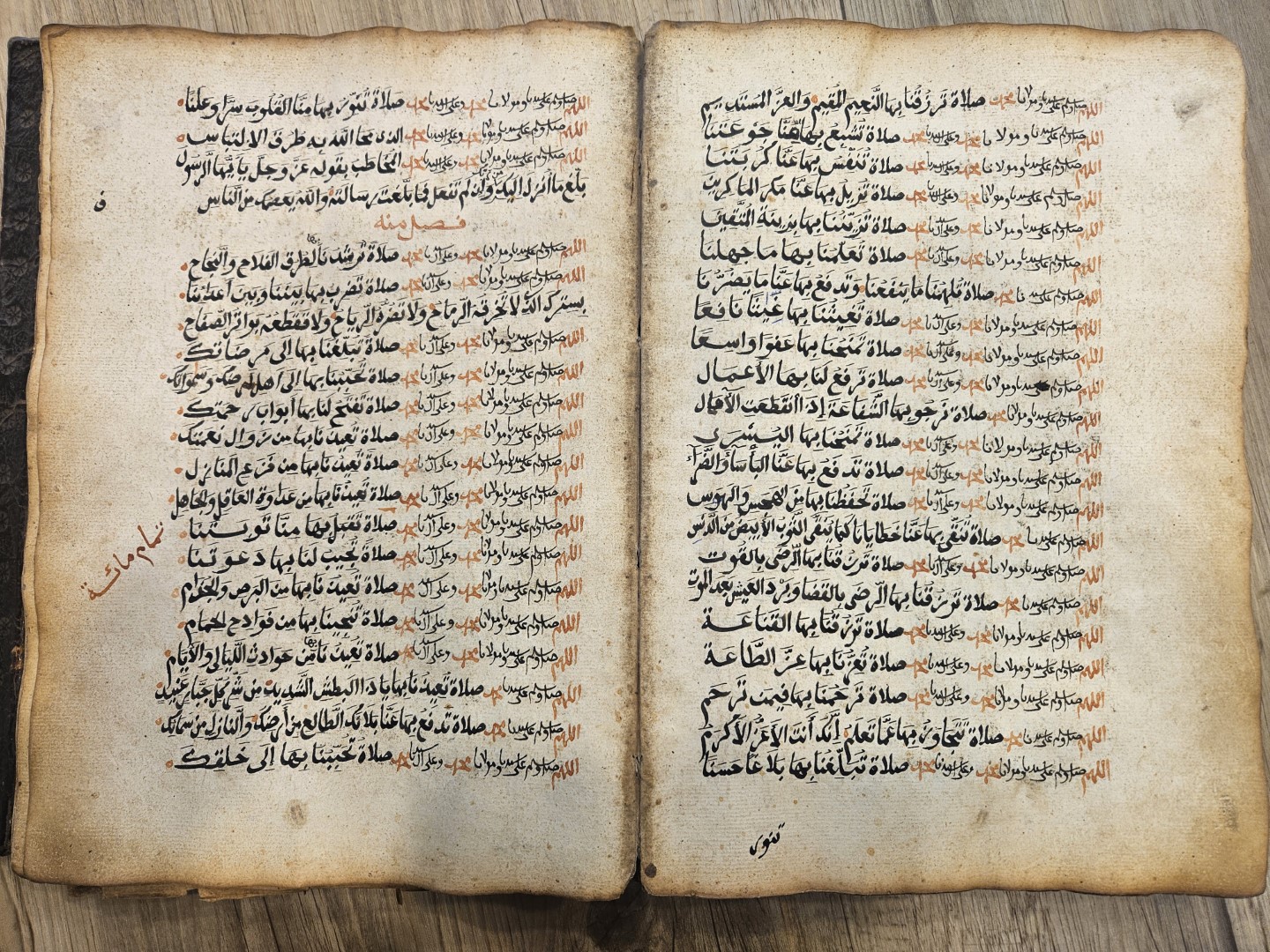 20251031_095201 (Grande)