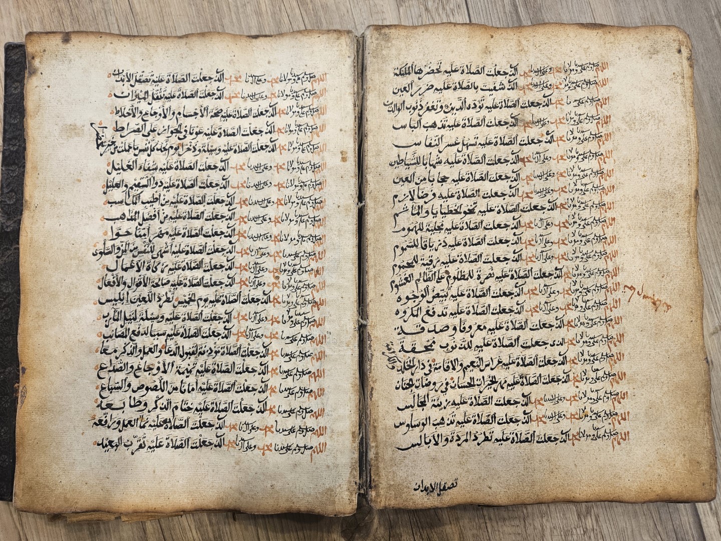 20251031_095207 (Grande)