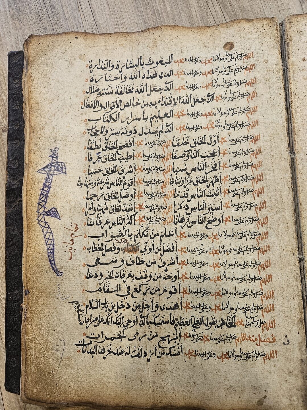 20251031_095216 (Grande)