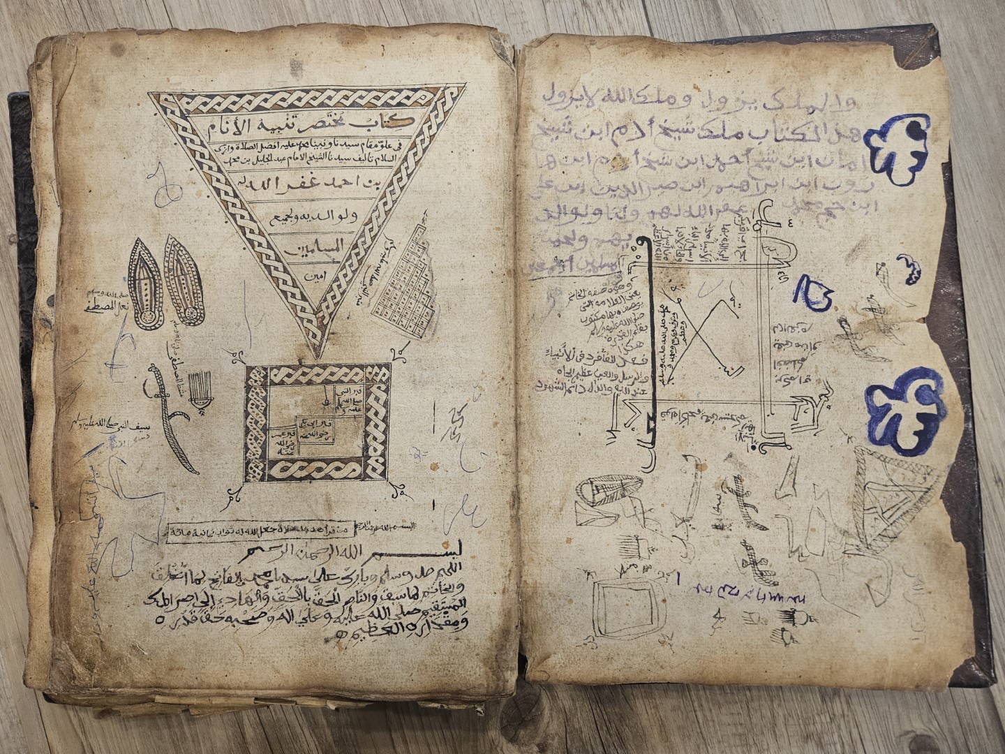 20251031_095247 (Grande)