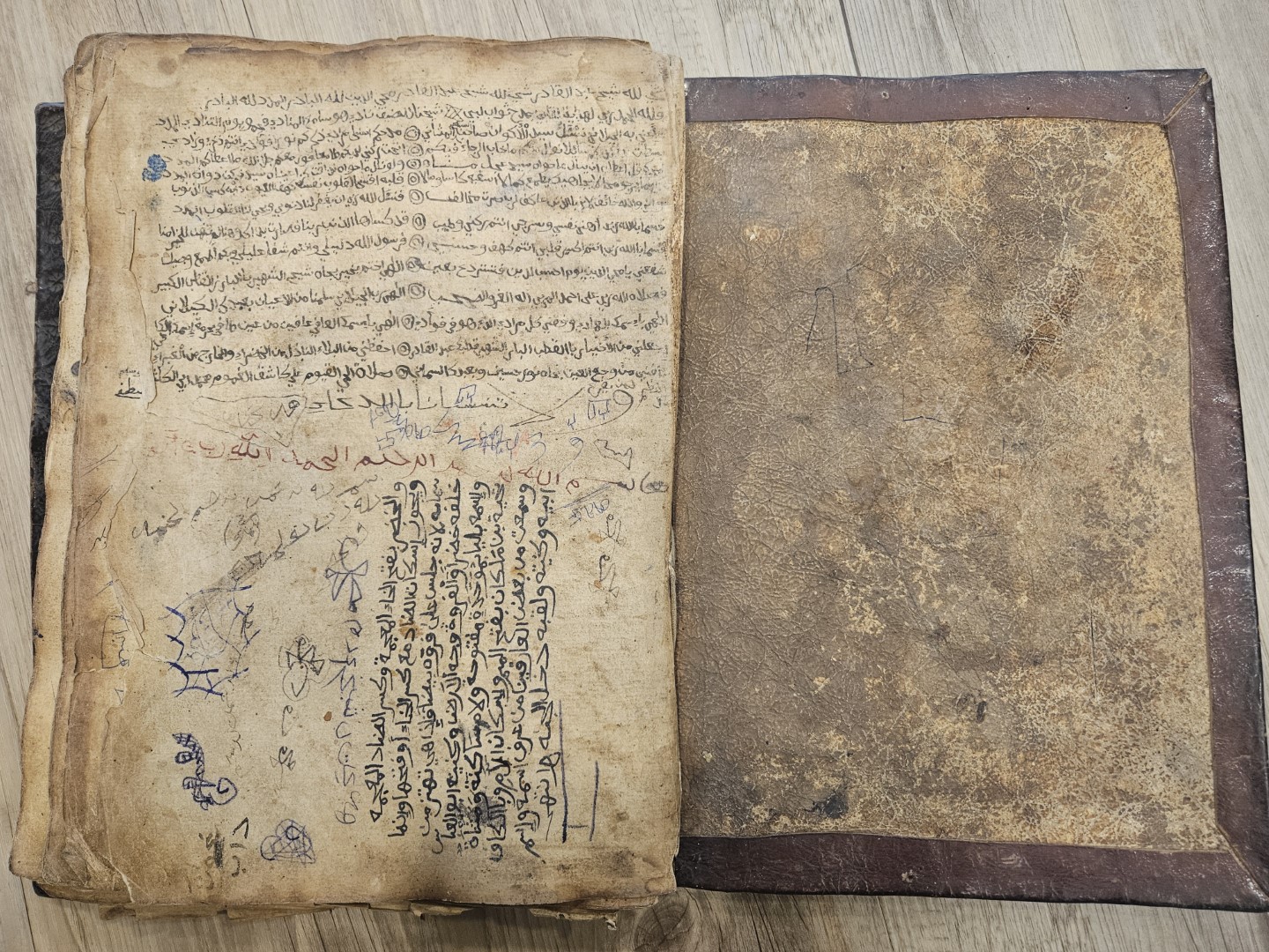 20251031_095303 (Grande)