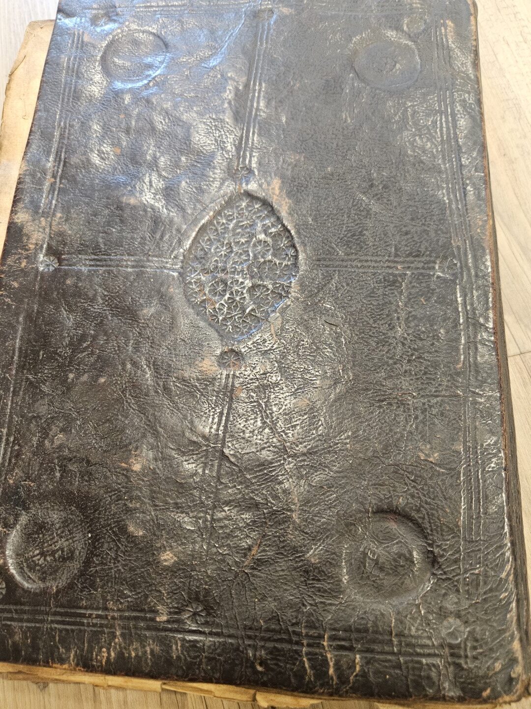 20251031_095308 (Grande)