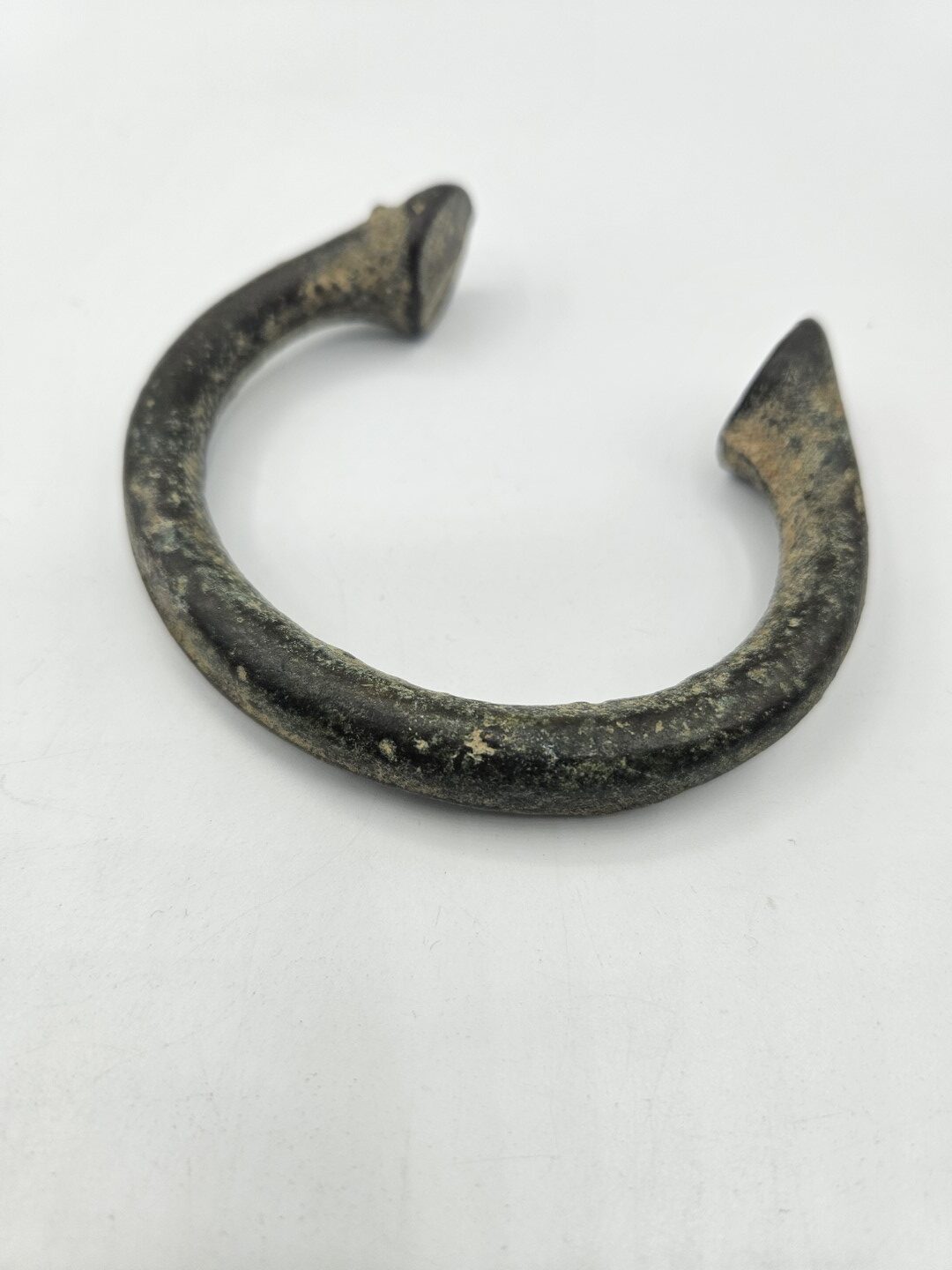 20251101_122708 (Grande)