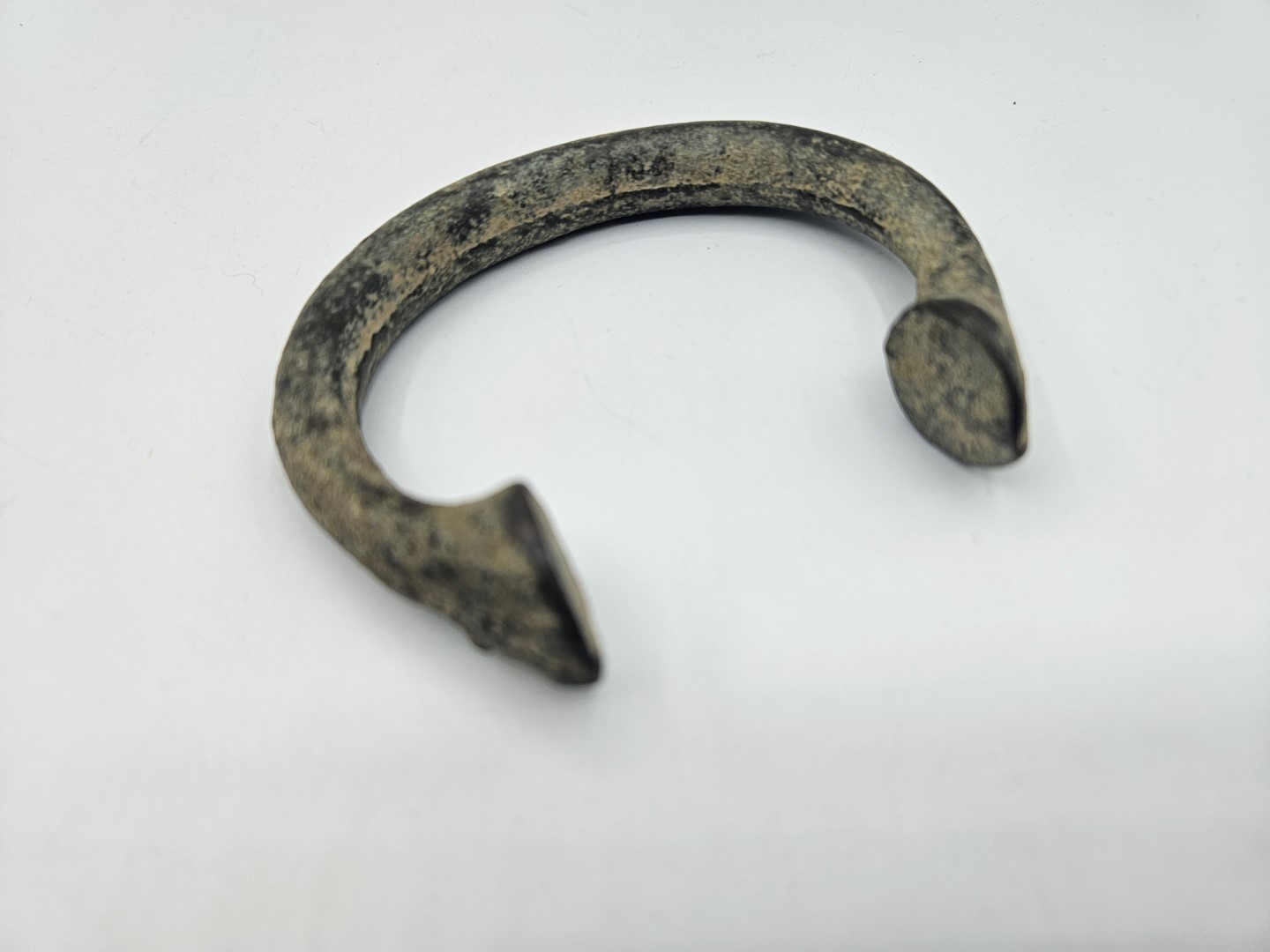 20251101_122721 (Grande)