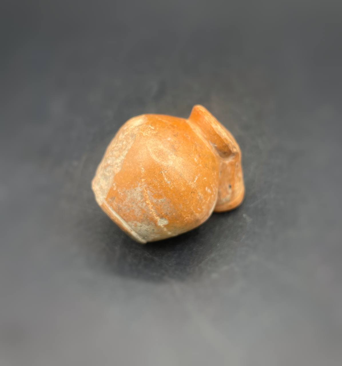 photo_5775930208337726536_y