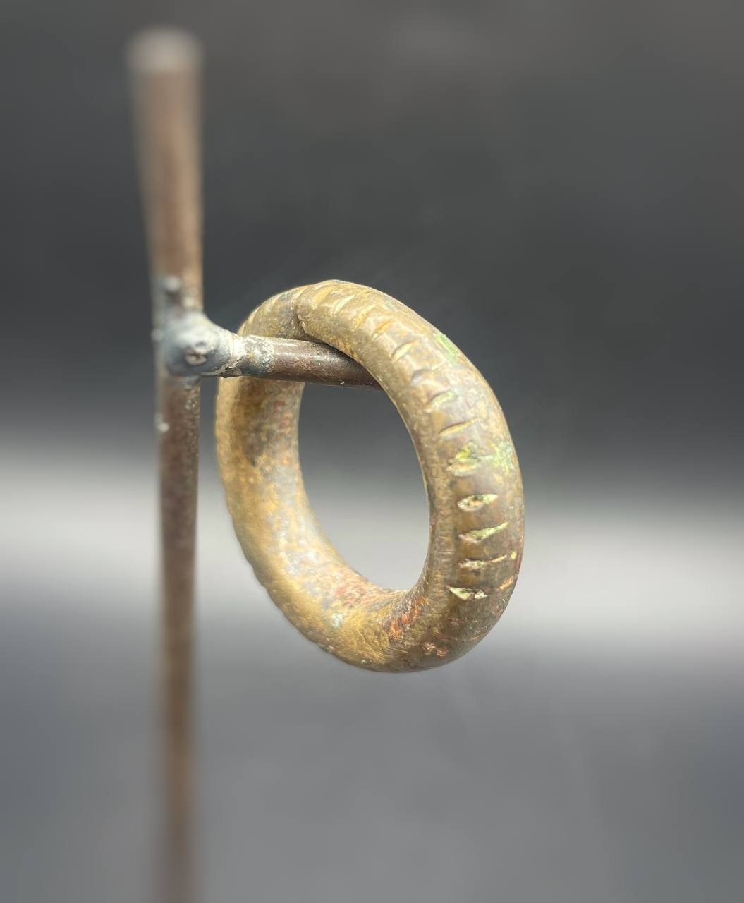 photo_5775930208337726566_y