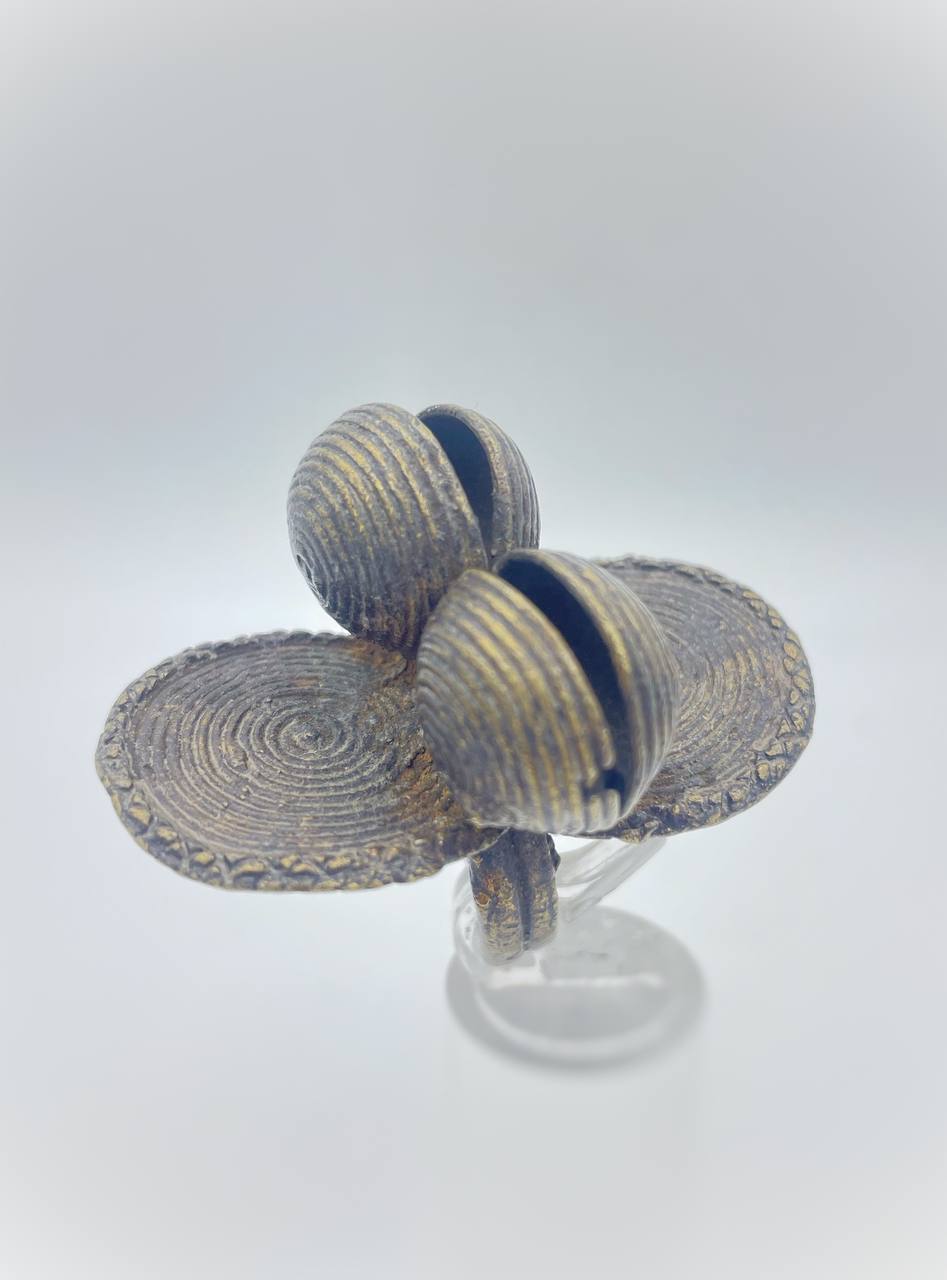 photo_5776188954347506526_y