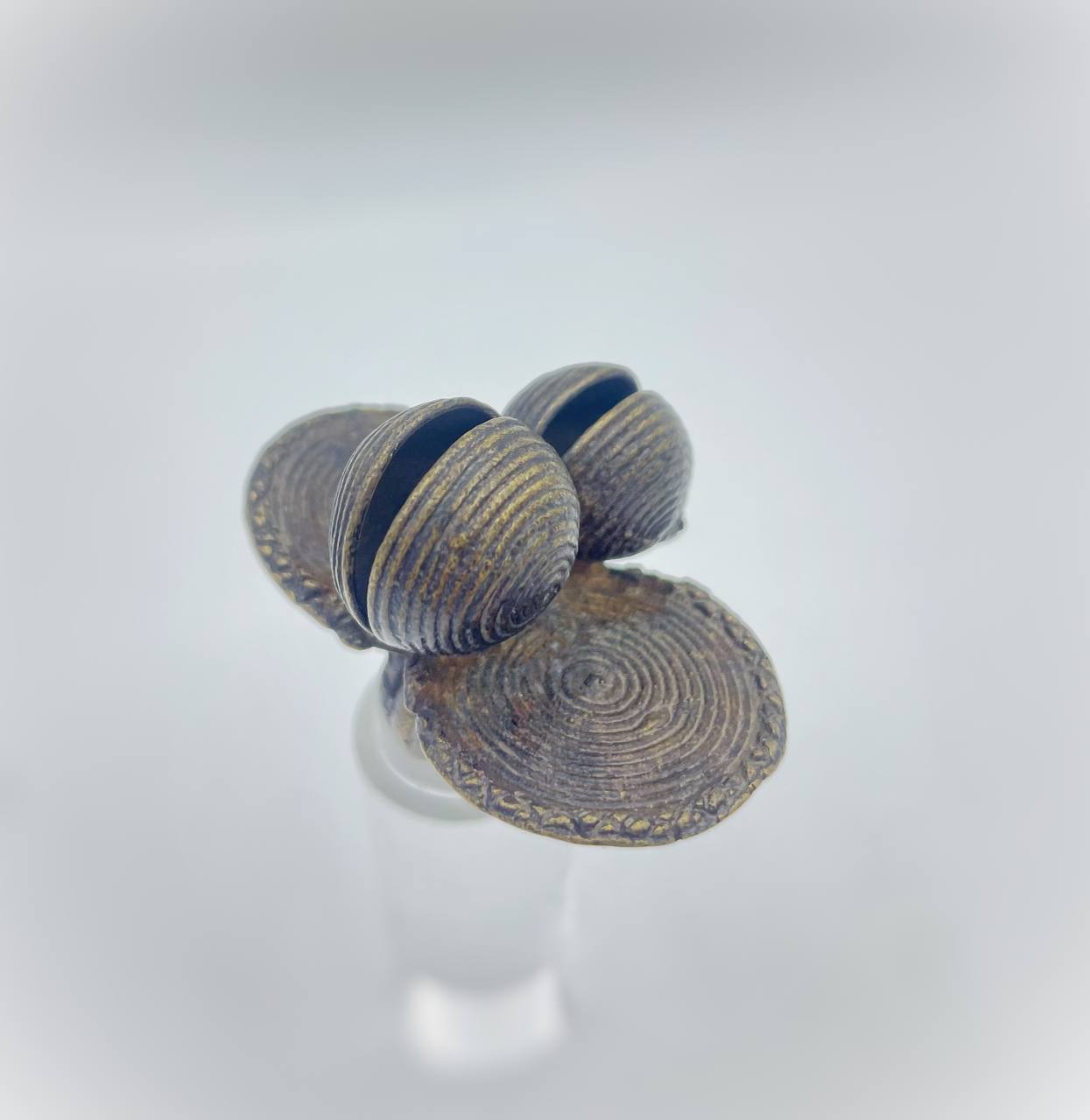 photo_5776188954347506528_y