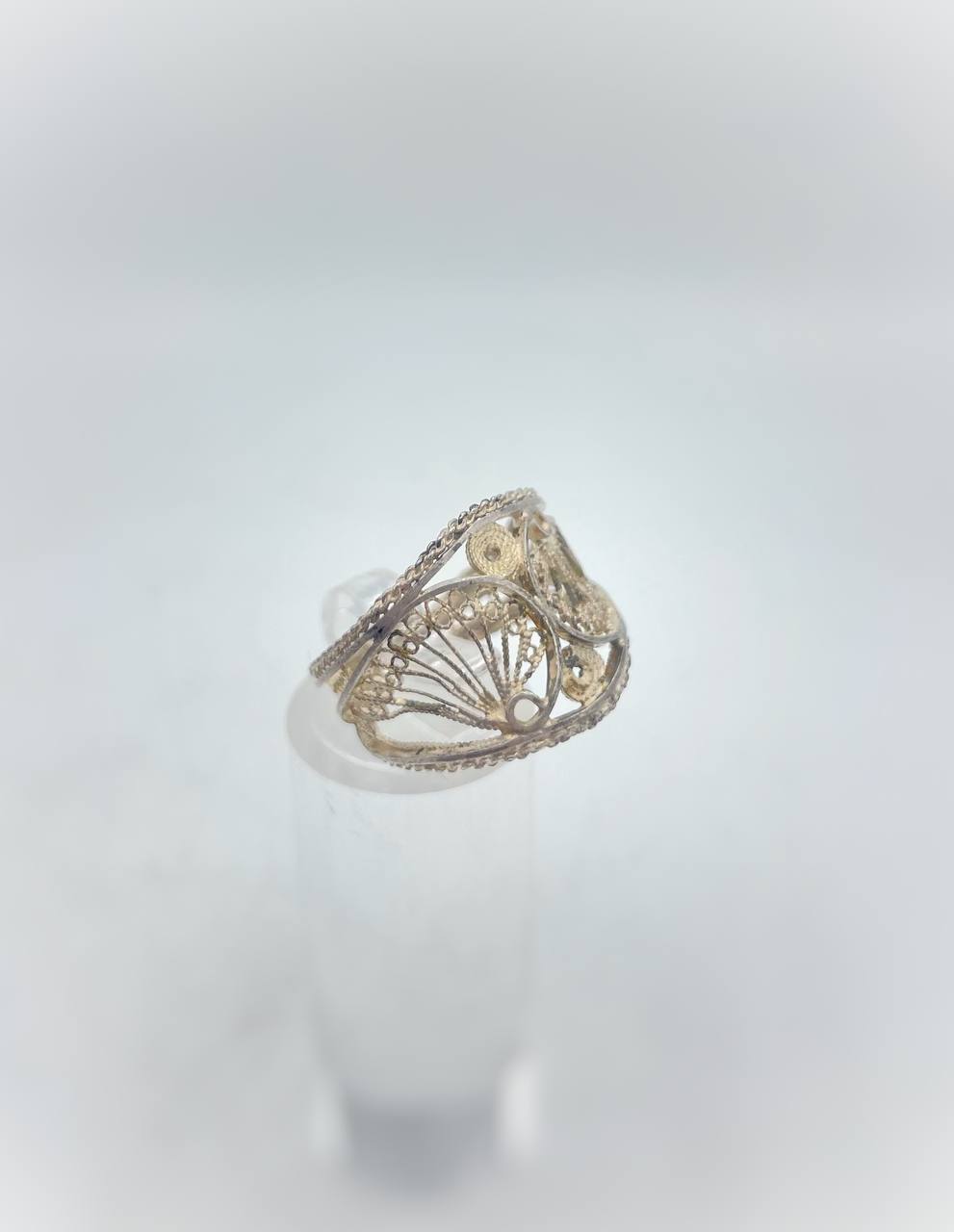 photo_6001491282150672751_y