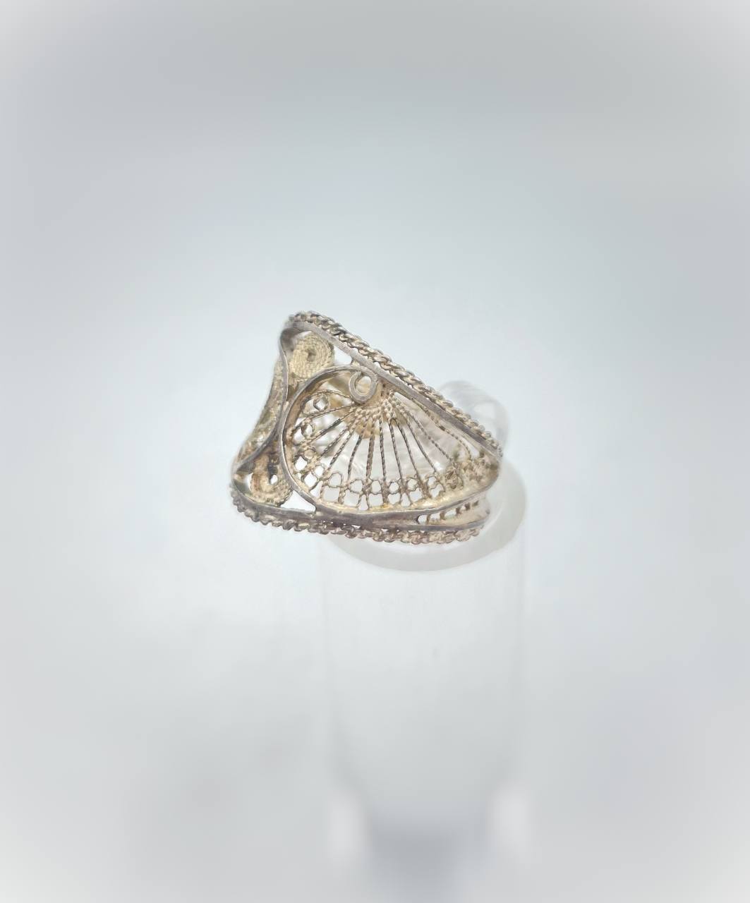 photo_6001491282150672752_y