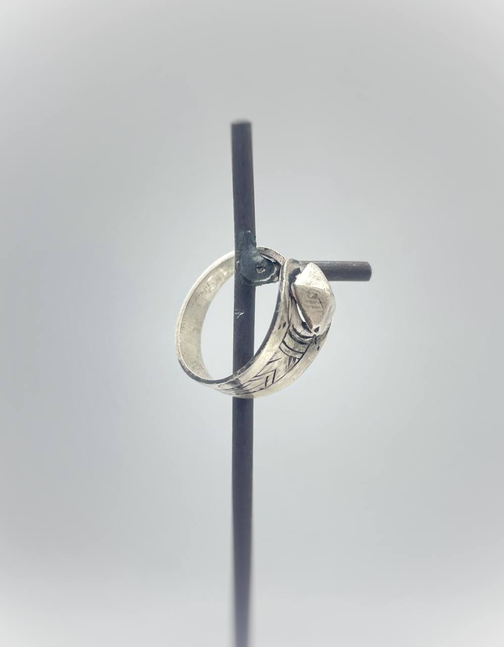 photo_6001491282150672785_y