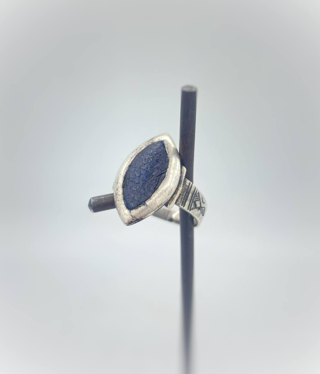 photo_6001491282150672789_y