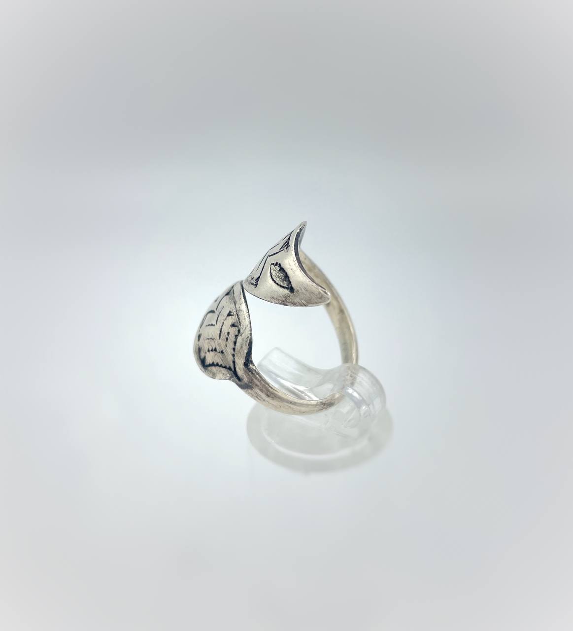 photo_6021387851293378347_y