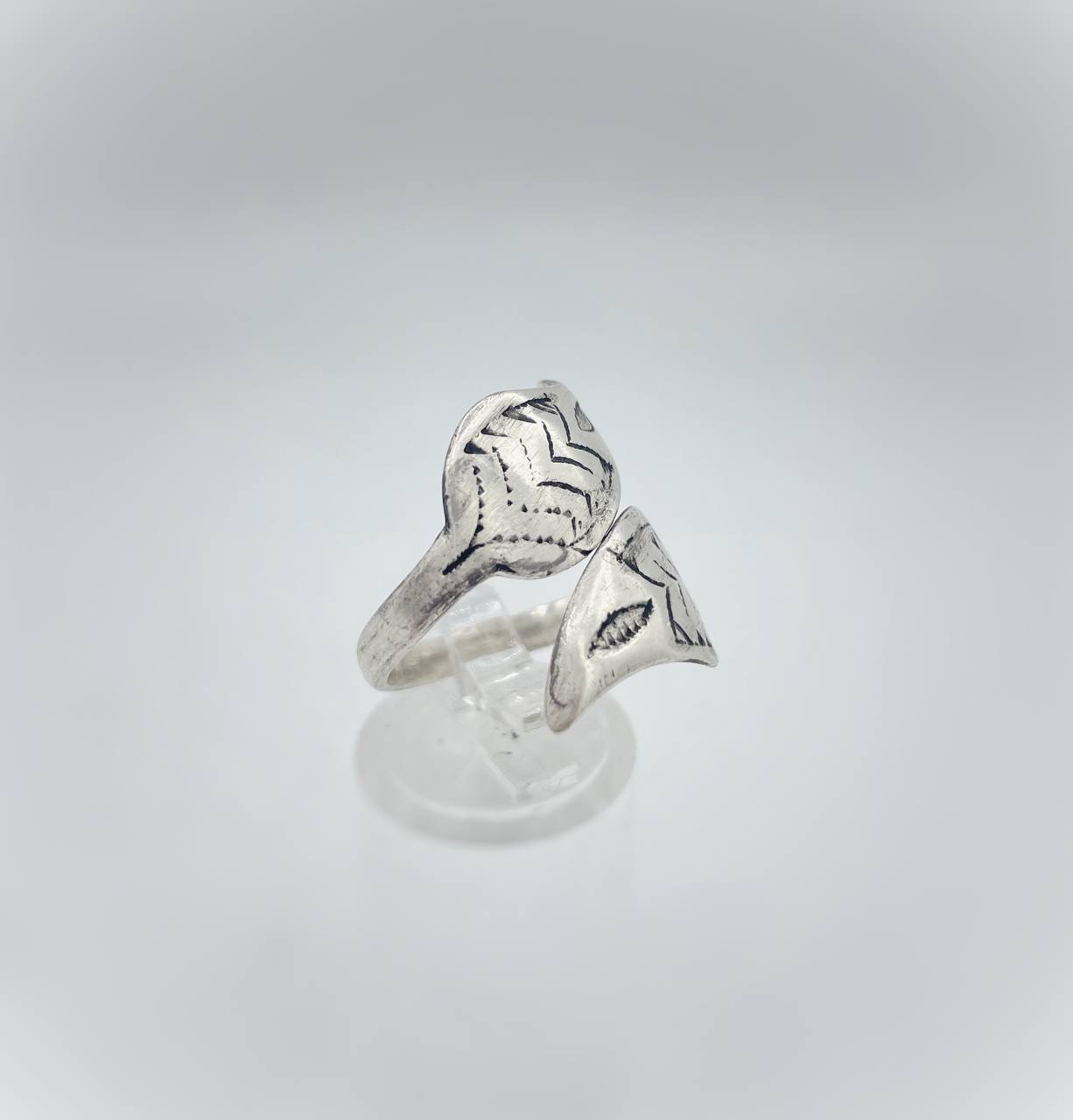 photo_6021387851293378348_y