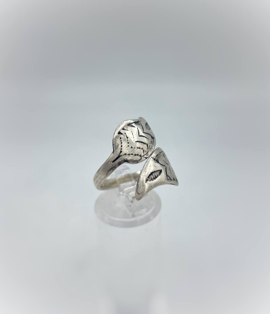 photo_6021387851293378350_y