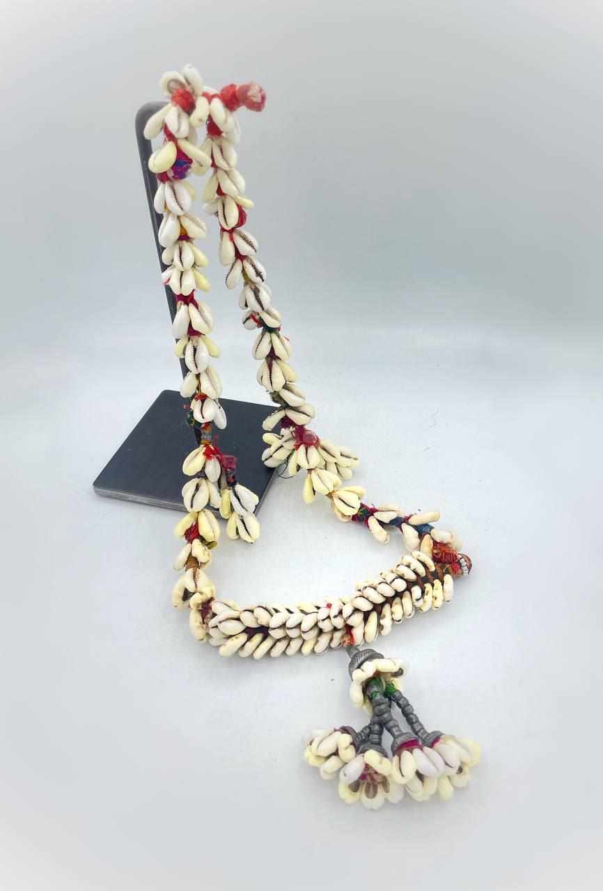 photo_6026207208326415754_y