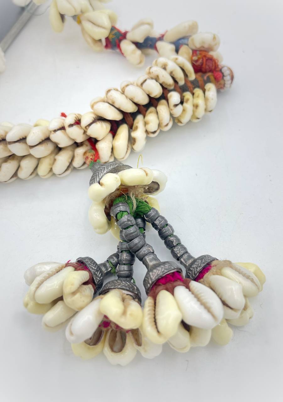 photo_6026207208326415755_y