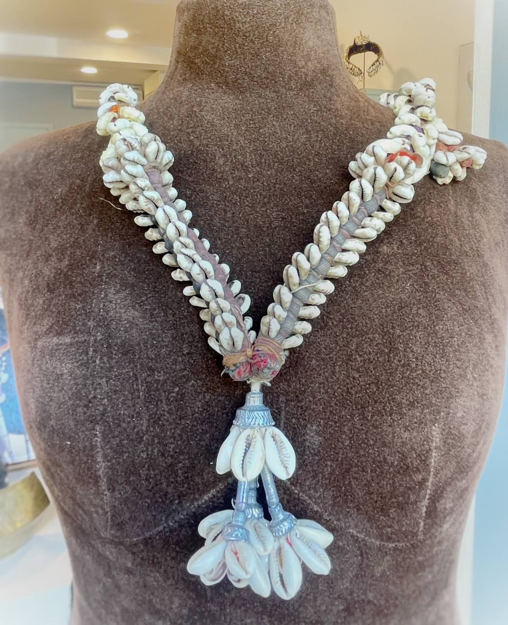 photo_6026207208326415763_y