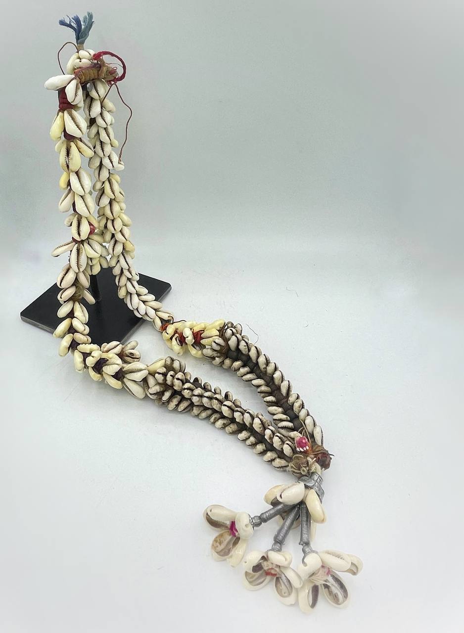 photo_6026207208326415765_y