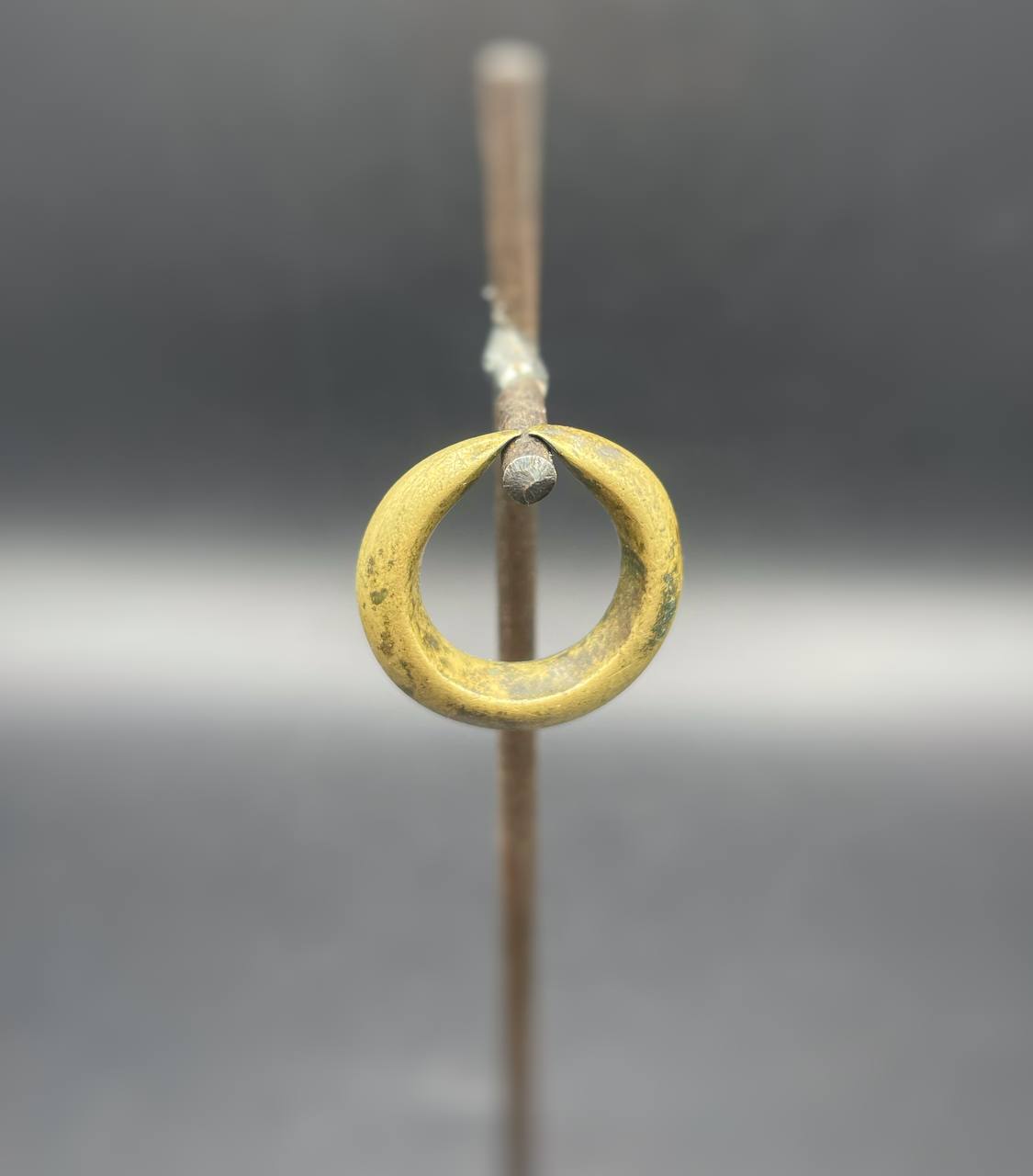 photo_6044367846181113095_y