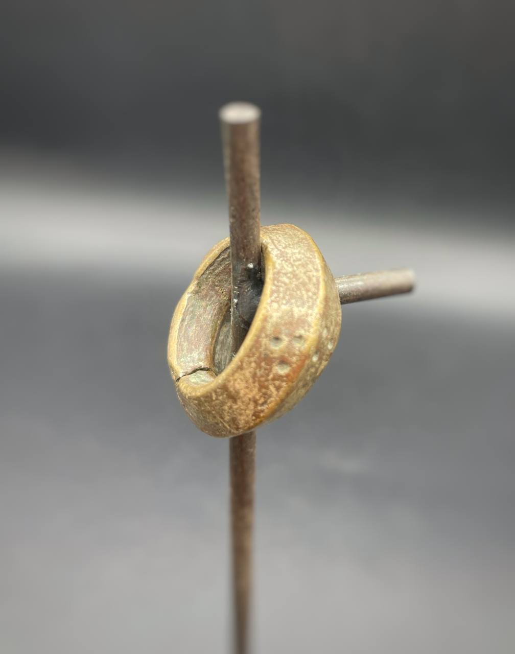 photo_6044367846181113101_y