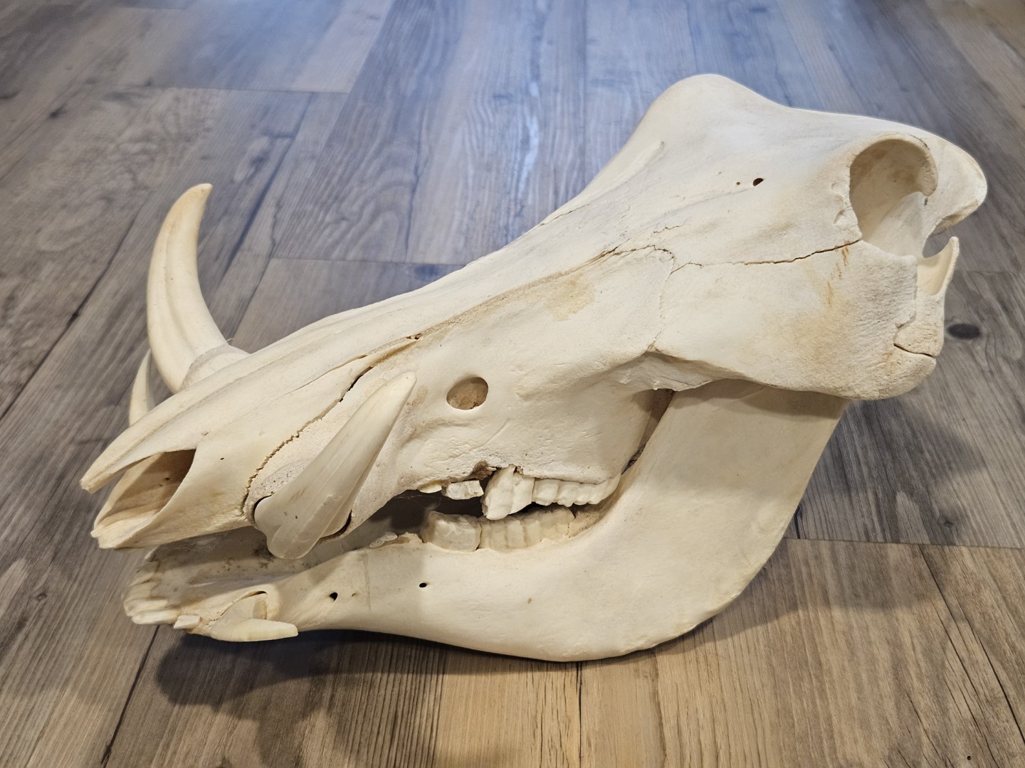 20251101_154601 (Grande)