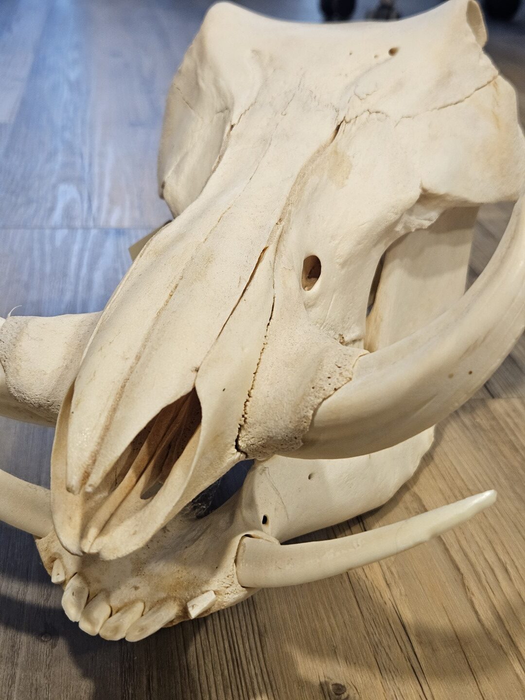 20251101_154610 (Grande)