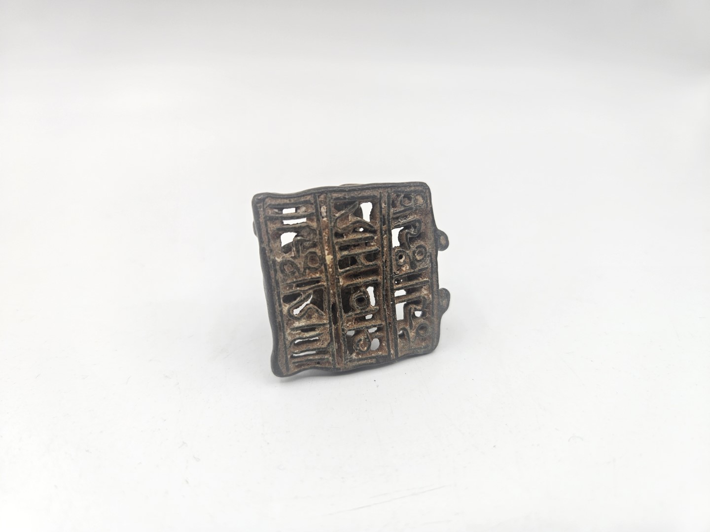 20251121_151037 (Grande)