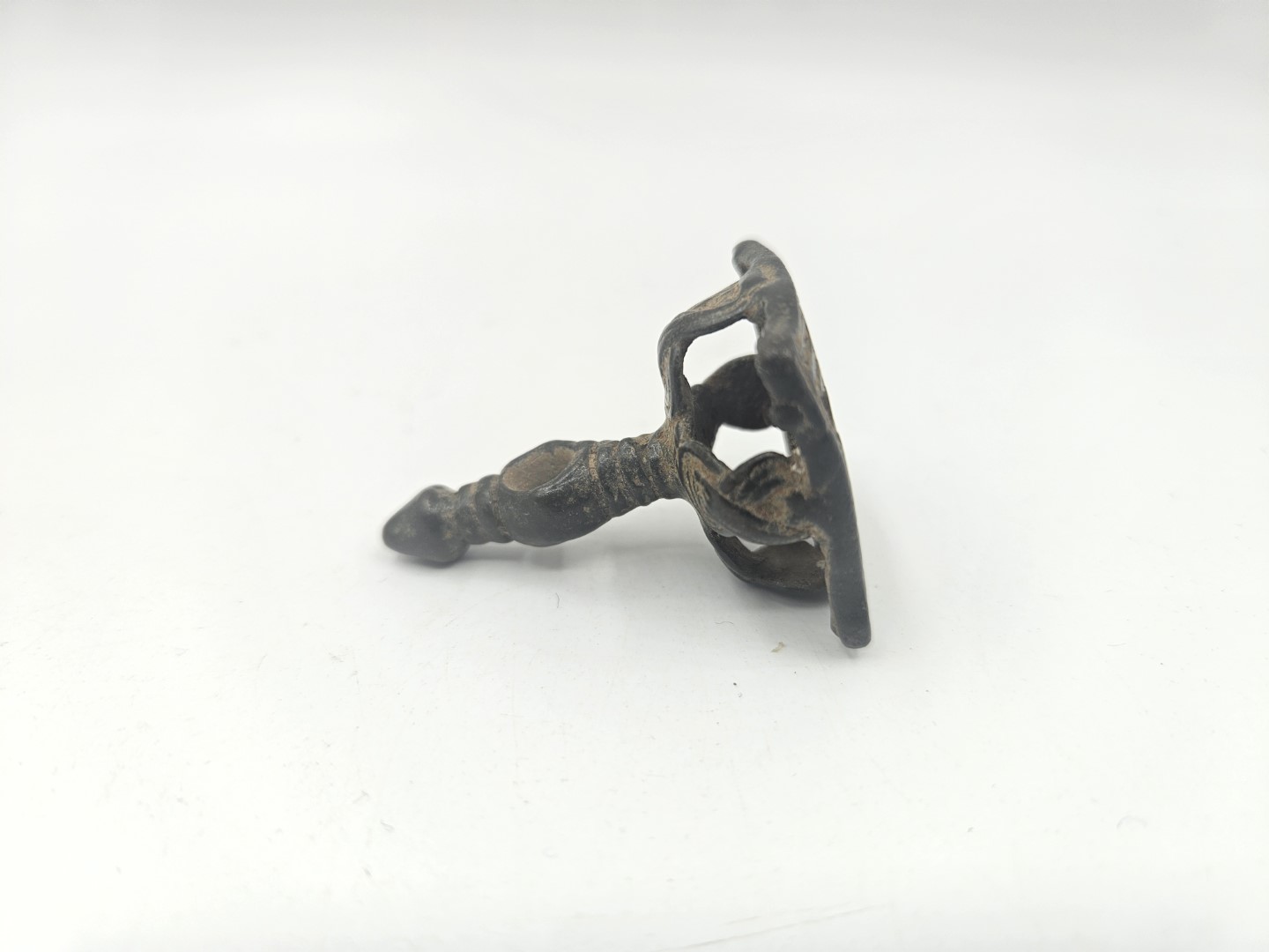 20251121_151042 (Grande)