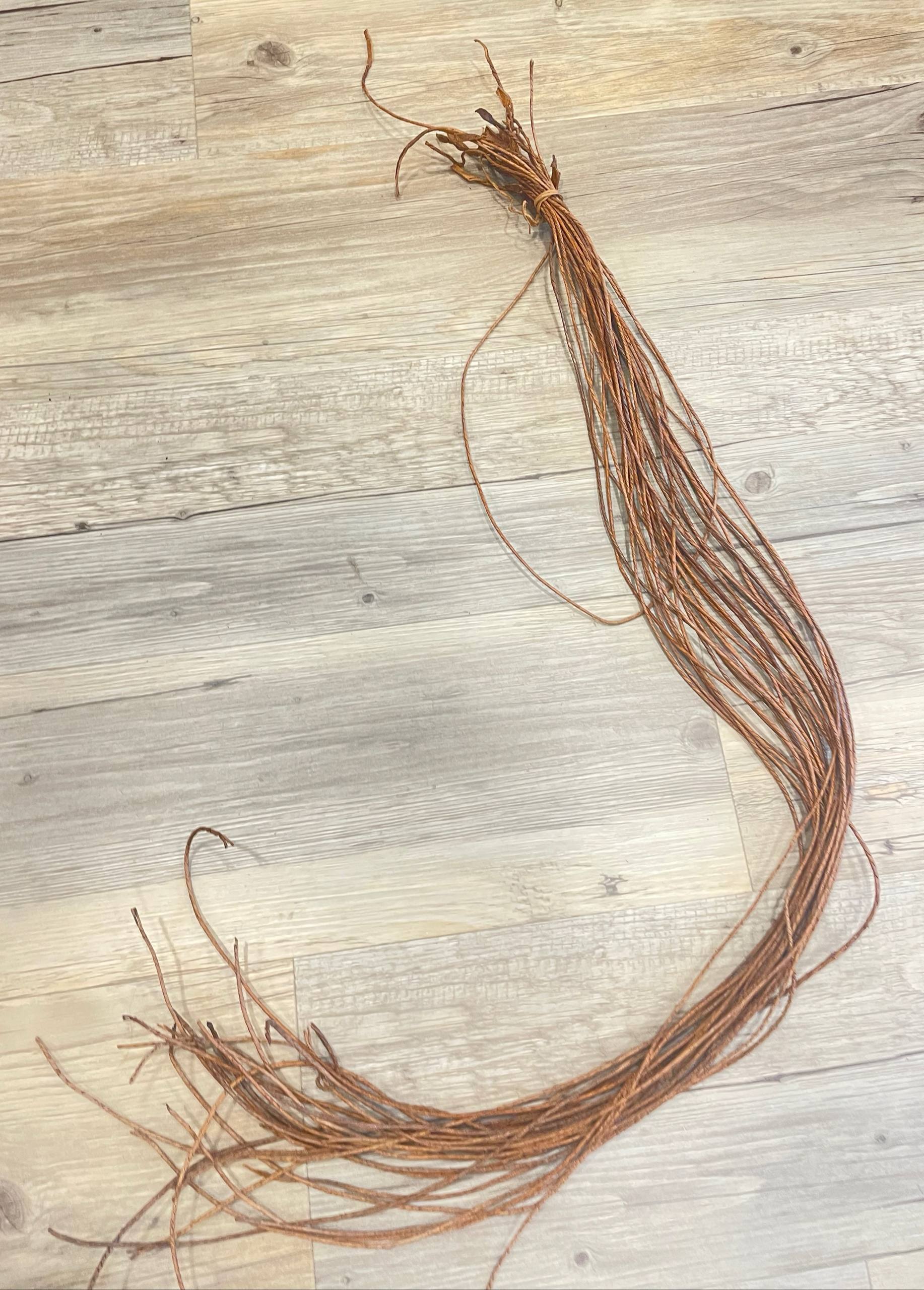 photo_5796694846205529200_w