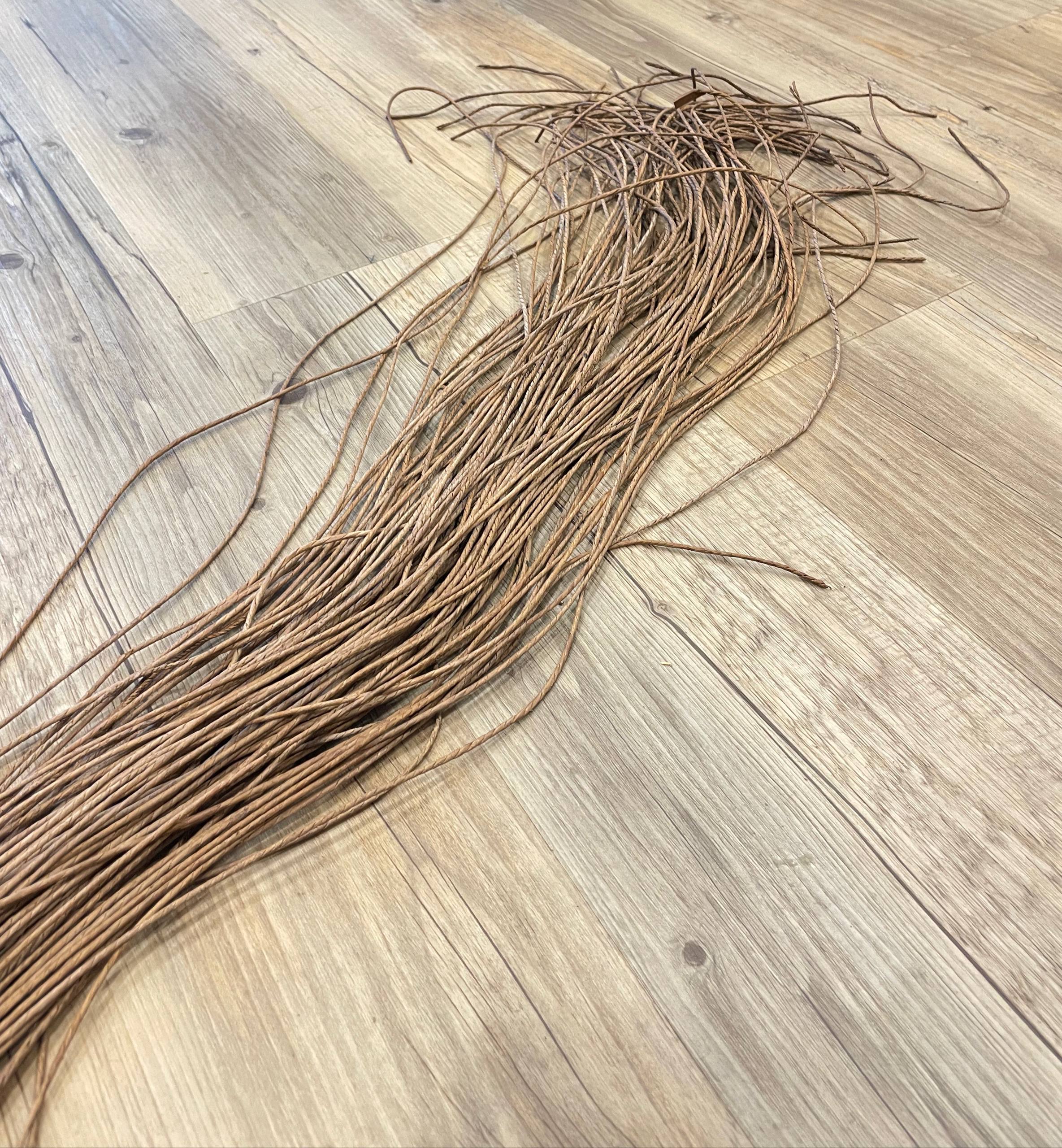 photo_5796694846205529204_w