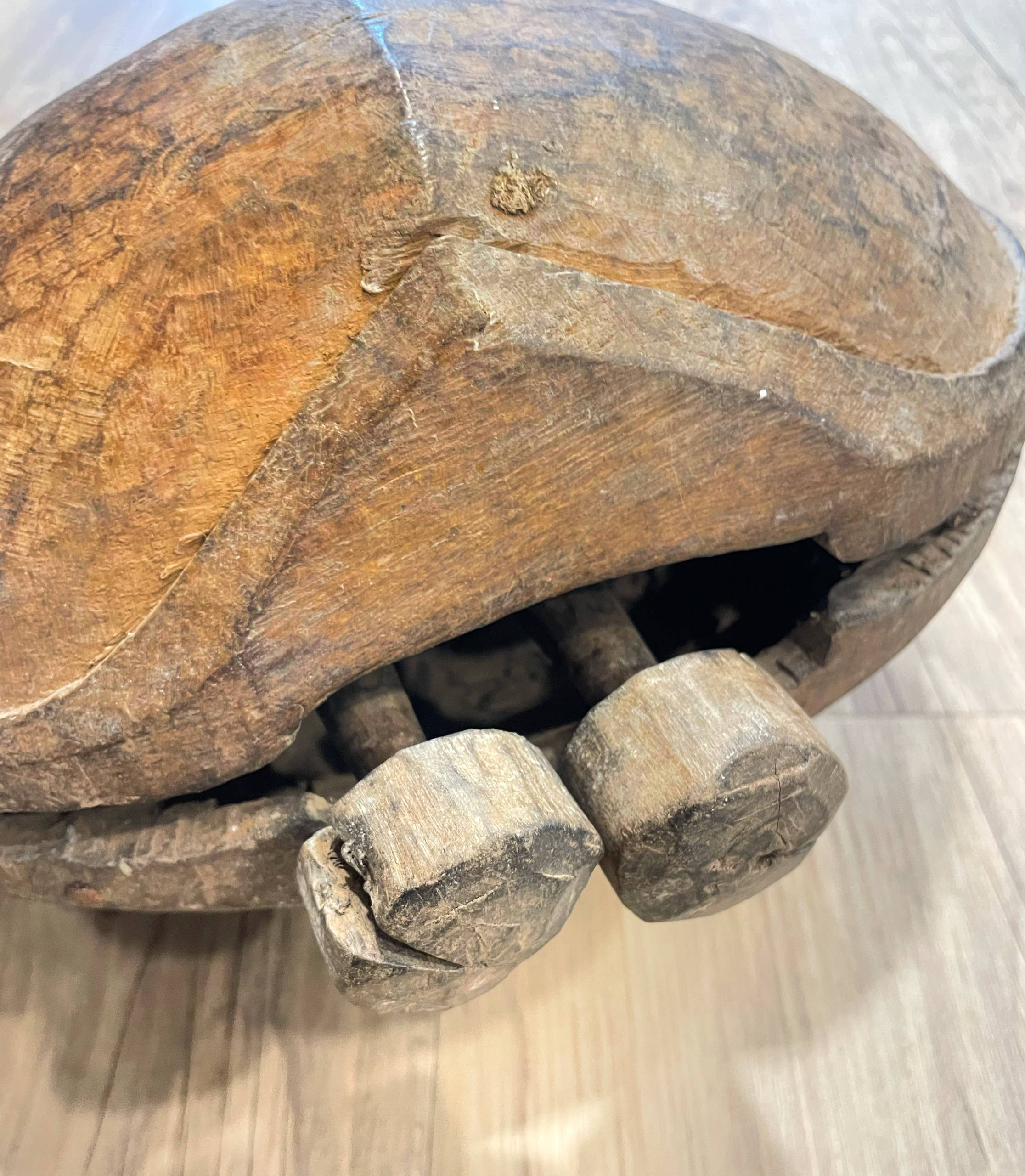 photo_5796694846205529241_w