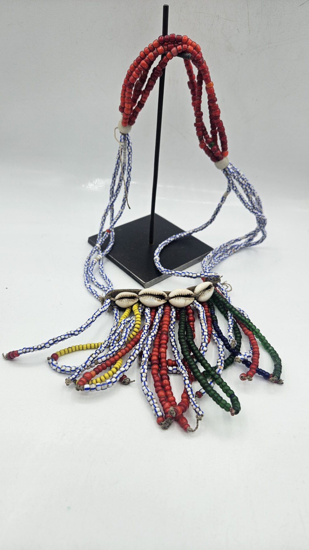 20251220_092444 (Grande)