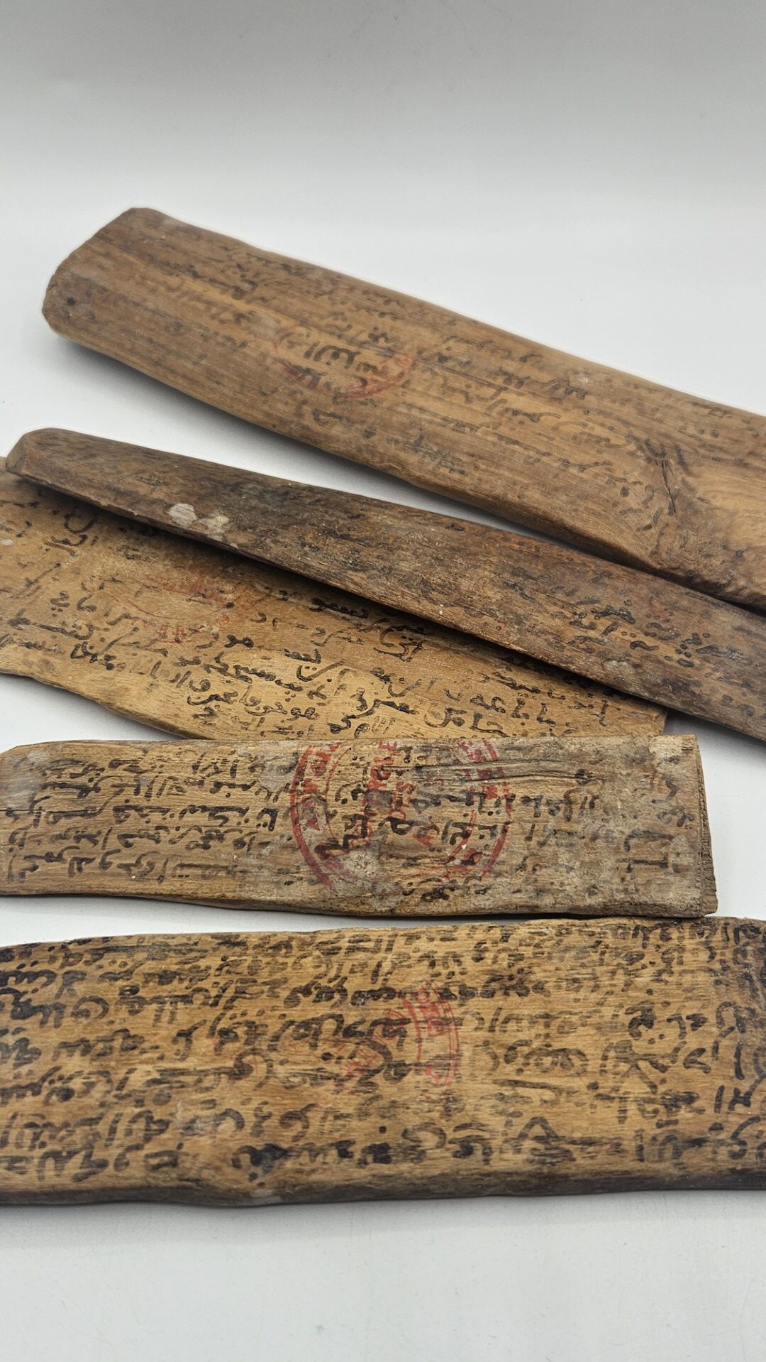 20251231_151219 (Grande)