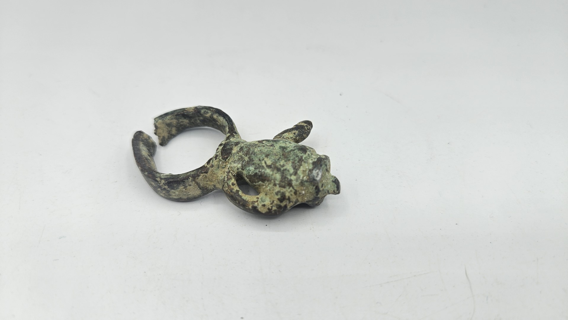 20260211_100601 (Grande)