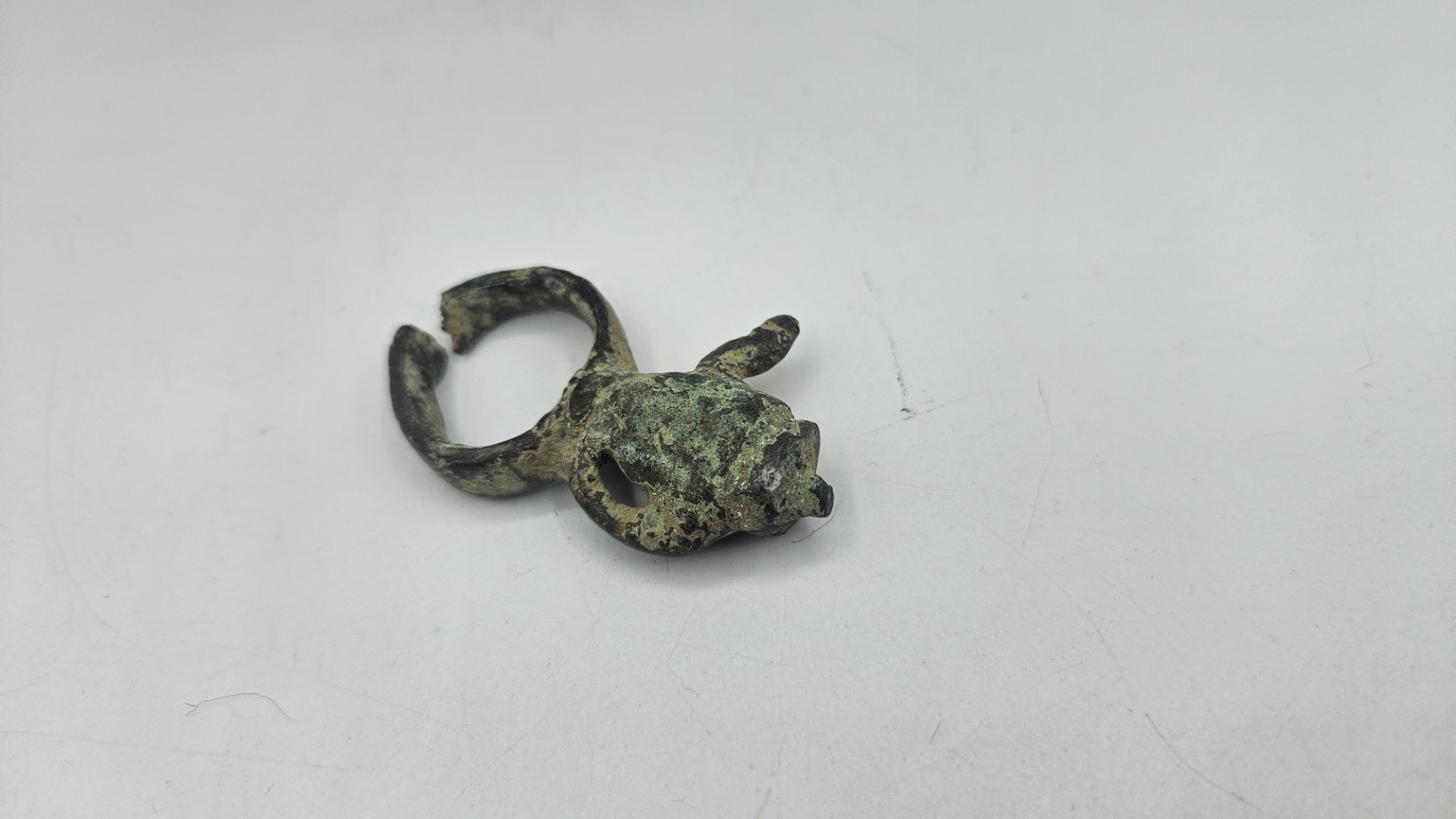 20260211_100617 (Grande)